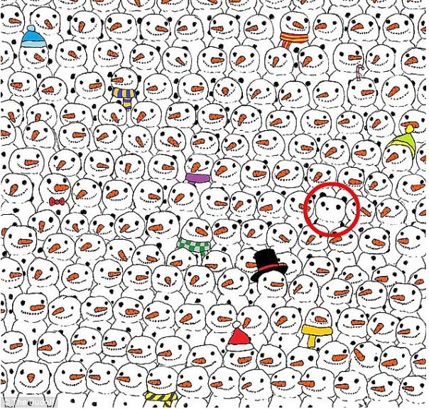 Hóemberek és a panda - megoldás